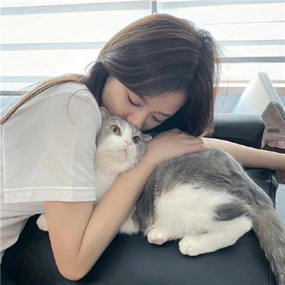 强捕犯